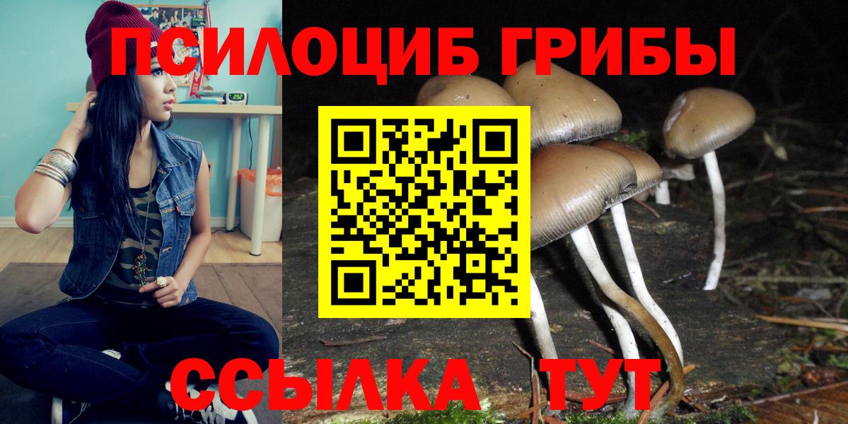 Псилоцибиновые грибы Psilocybine cubensis  Вход с VPN  Соль-Илецк 